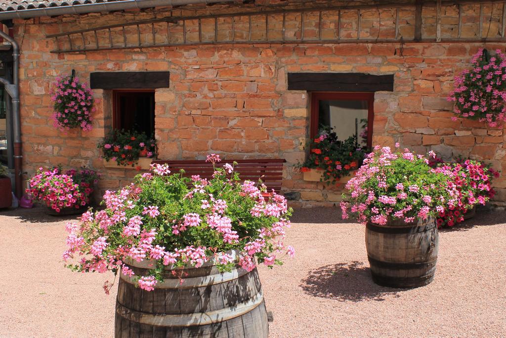 Hotel Restaurant Le Moulin De Saint Verand Екстериор снимка