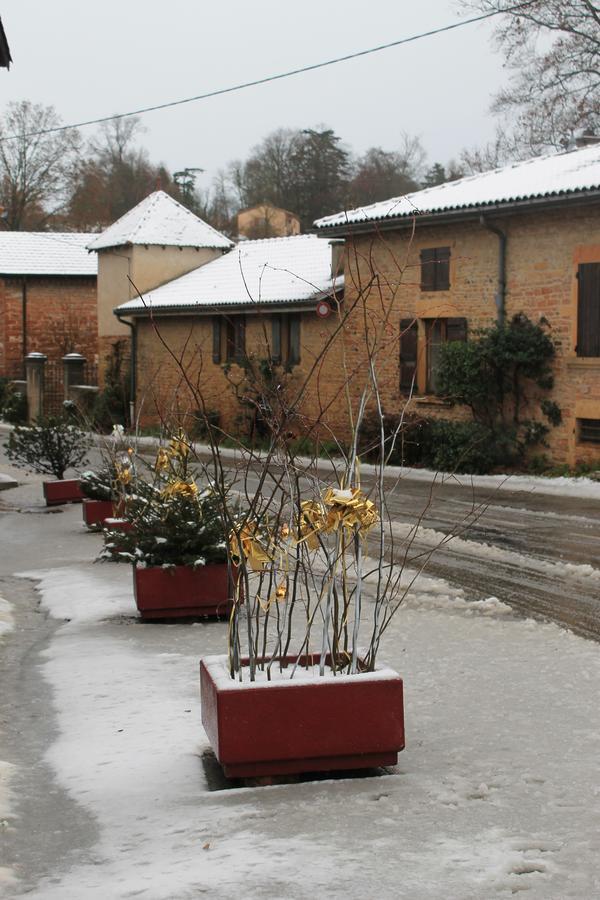 Hotel Restaurant Le Moulin De Saint Verand Екстериор снимка